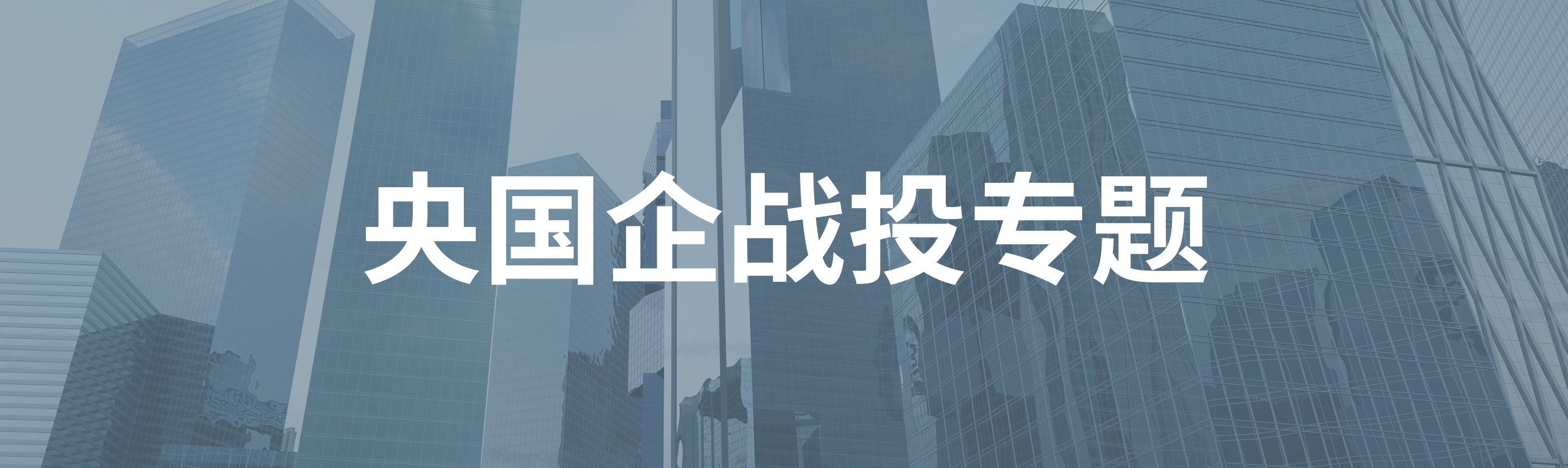 央企战略投资项目（战投项目）的主要风险有哪些？