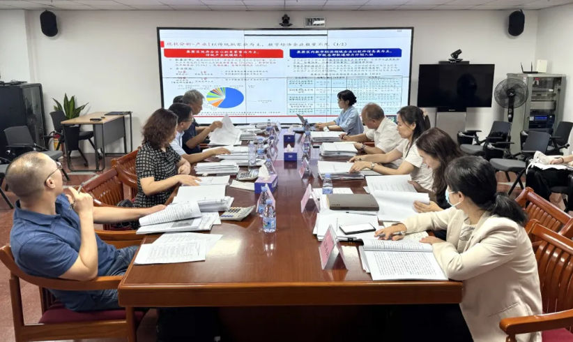 深圳罗湖总部经济聚集区建设方案项目顺利验收！成果获专家组高度认可