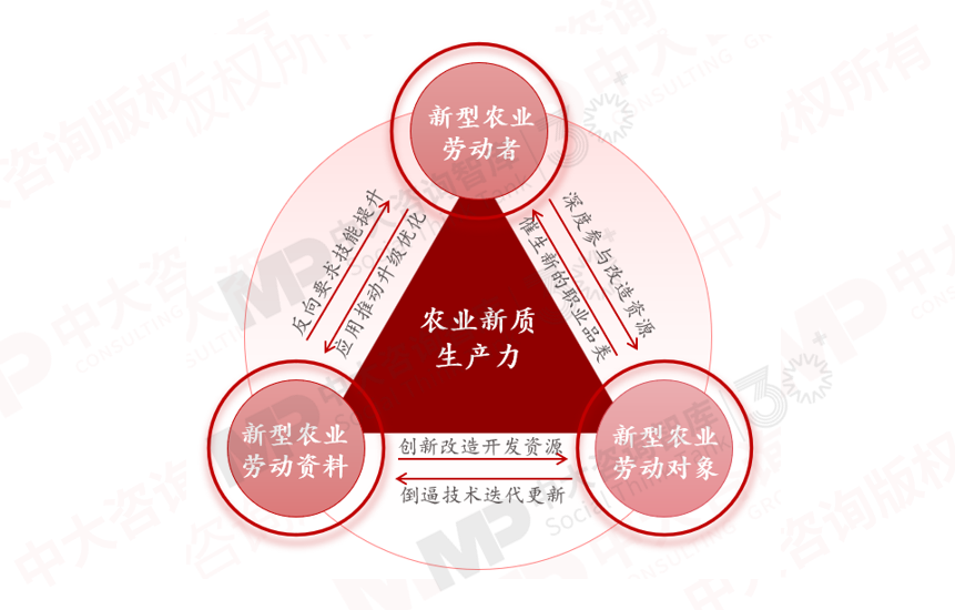 解码农业新质生产力,农业发展如何从“新”出发 解码农业新质生产力,农业发展如何从“新”出发