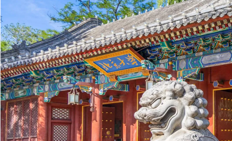 中大咨询春招走进多个知名高校,以专业楫浪,与时代同频 中大咨询春招走进多个知名高校,以专业楫浪,与时代同频