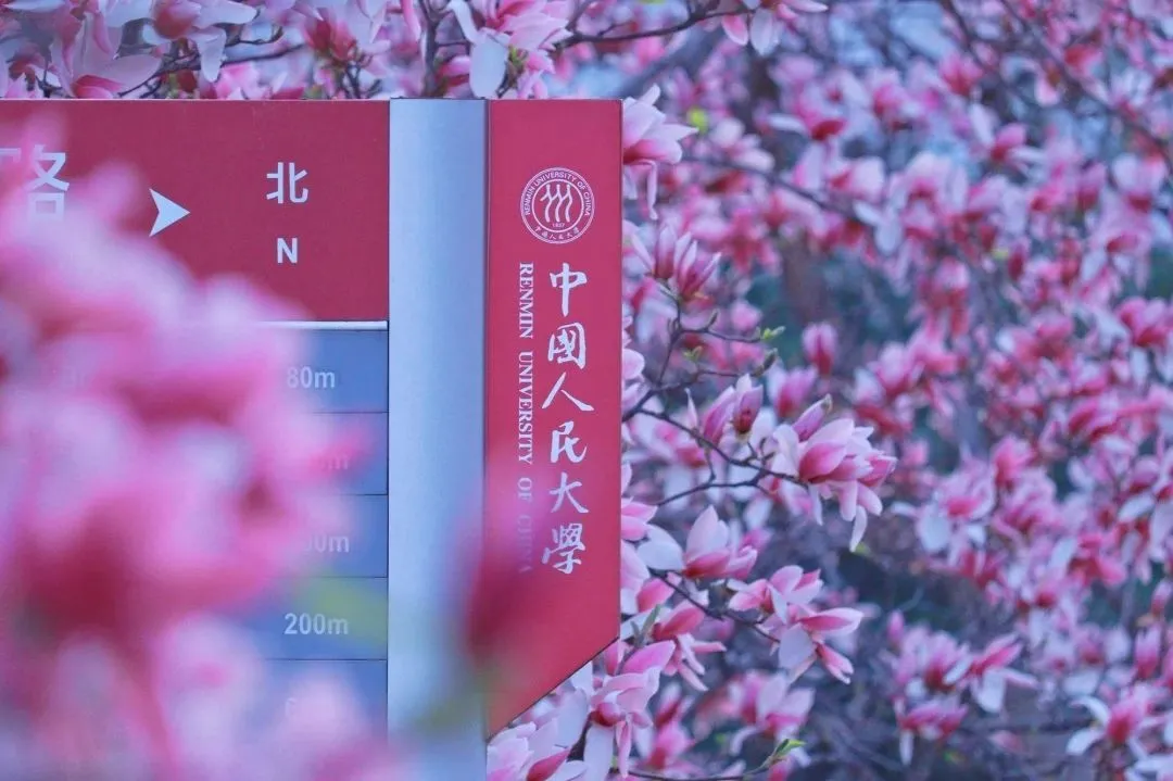 中大咨询春招走进多个知名高校,以专业楫浪,与时代同频 中大咨询春招走进多个知名高校,以专业楫浪,与时代同频