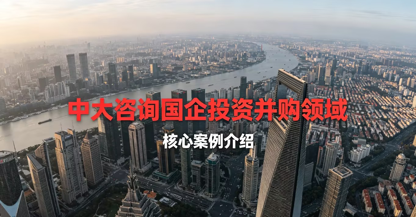 国企投资并购,央企跨境并购,国企混改引战,国资项目评审,投资并购,项目可研,尽职调查中大咨询 国企投资并购,央企跨境并购,国企混改引战,国资项目评审,投资并购,项目可研,尽职调查中大咨询