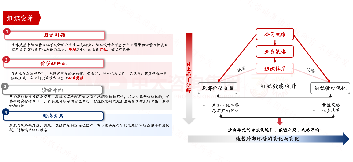 组织与岗位体系 组织与岗位体系