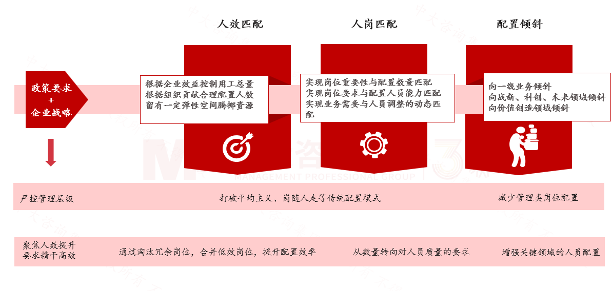 组织与岗位体系 组织与岗位体系