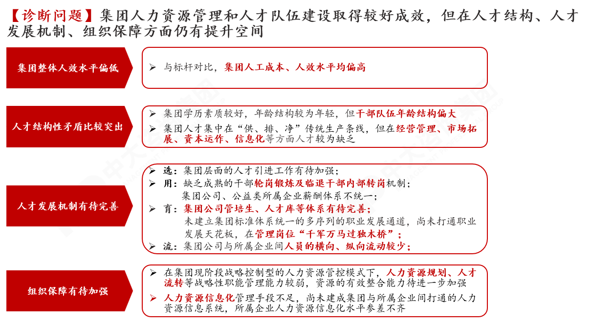 某大型国有水务集团人力资源战略规划咨询项目 某大型国有水务集团人力资源战略规划咨询项目