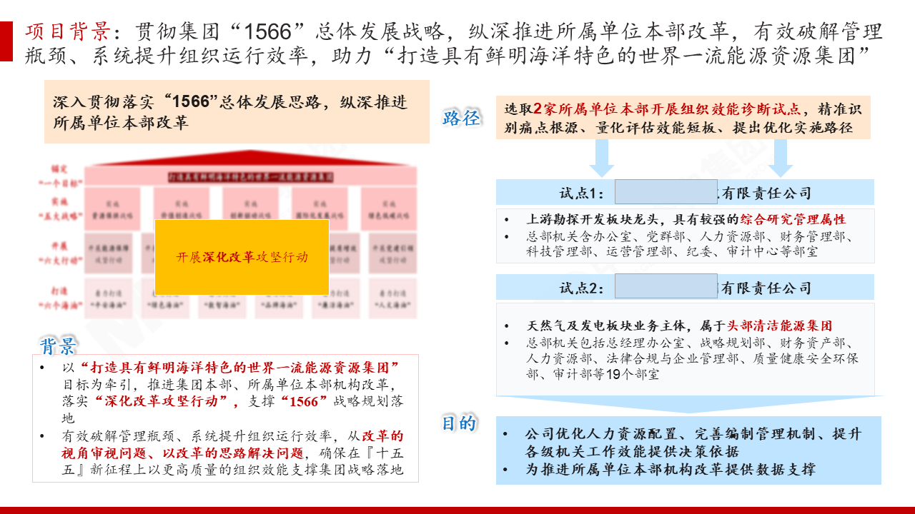 某世界500强海上油气开采龙头央企组织效能评价咨询项目 某世界500强海上油气开采龙头央企组织效能评价咨询项目