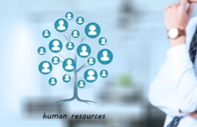 企业如何制定人力资源需求规划——H矿的一种变通方法