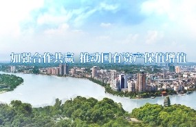 助力建成省一流综合性投资运营集团公司，中大咨询启动乐山国投集团“十四五”战略规划项目