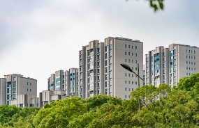 正式启动项目激励机制建设，助推朗通内驱动力增长