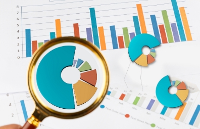 某区财政局年度预算分配与资金流平衡机制设计