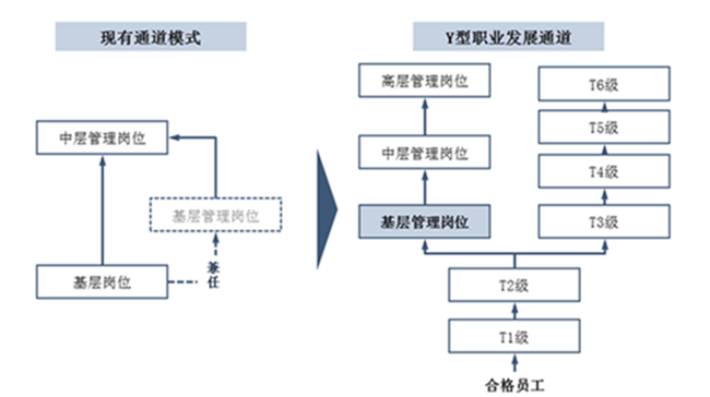 中大咨询:打造多通道职业发展体系 中大咨询:打造多通道职业发展体系