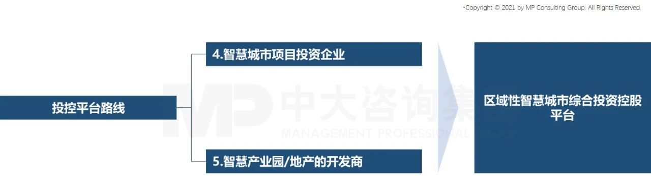 中大咨询:投控平台 中大咨询:投控平台
