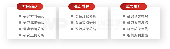中大咨询党建专题研究解决方案