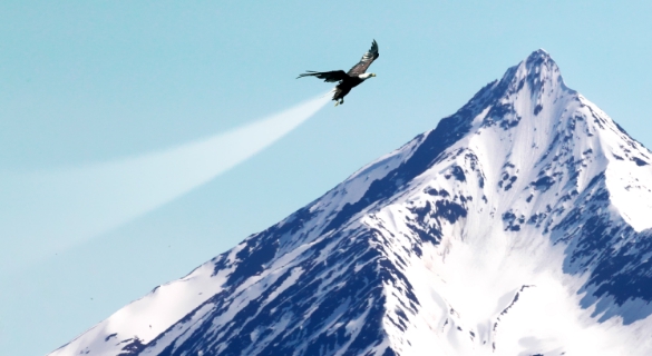 如何建设企业文化问答