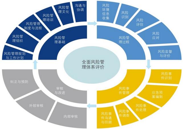 中大咨询：风险管理