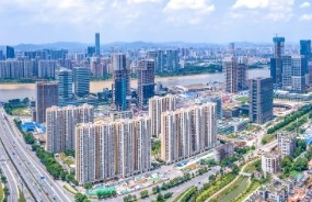 助力书写琶洲“高分答卷”，打造世界一流数字经济示范区