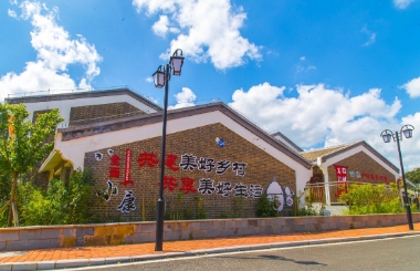 如何协同推动乡村产业、人才、生态、文化、组织振兴？