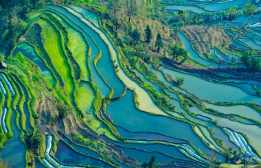 今年，“双碳”建设将与供给侧结构性改革协同推进！