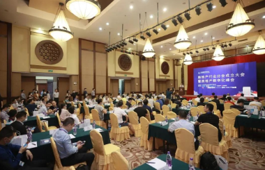 房地产行业分会成立大会暨房地产数字化峰会隆重召开！中大咨询联合发布200强房企数字化调研阶段成果