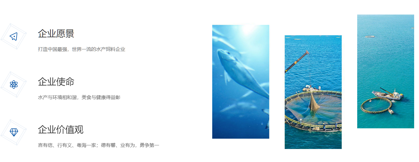 中大咨询助力粤海饲料企业文化升级,助力实现发展战略目标 中大咨询助力粤海饲料企业文化升级,助力实现发展战略目标