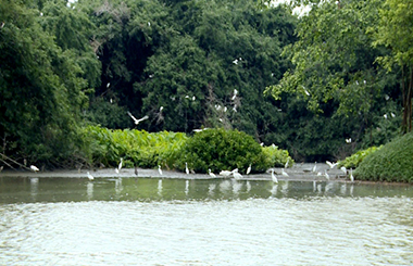 打造广东省全域旅游示范区！中大咨询助力江门新会开展景区管理体制改革工作