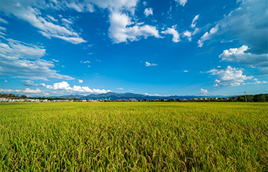 多领域助推！中大咨询凝聚各方合力共促乡村振兴