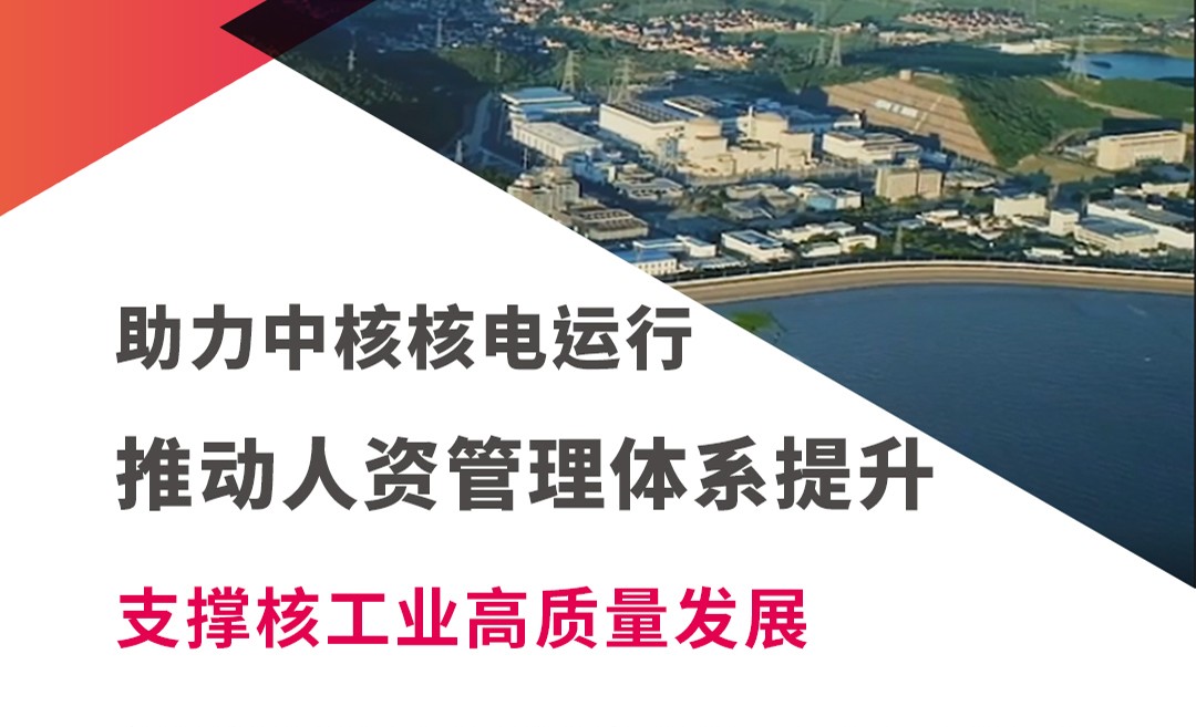 中核运行人力资源咨询服务项目