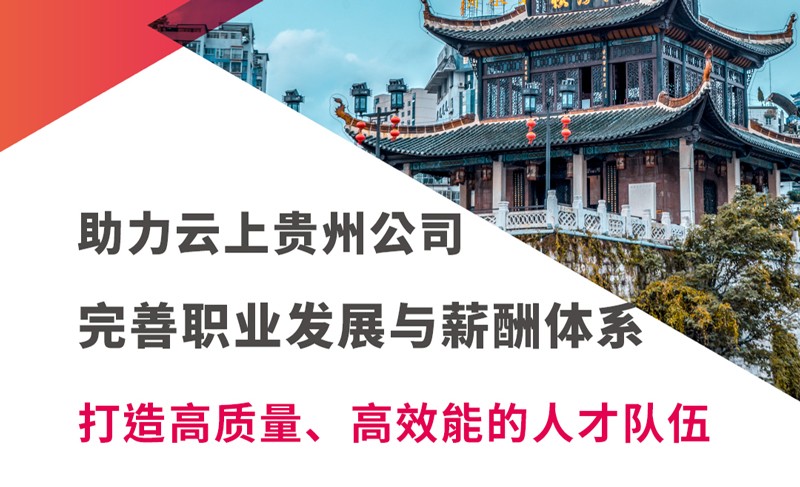 云上贵州大数据产业发展有限公司新酬体系改革和职业发展设计项目