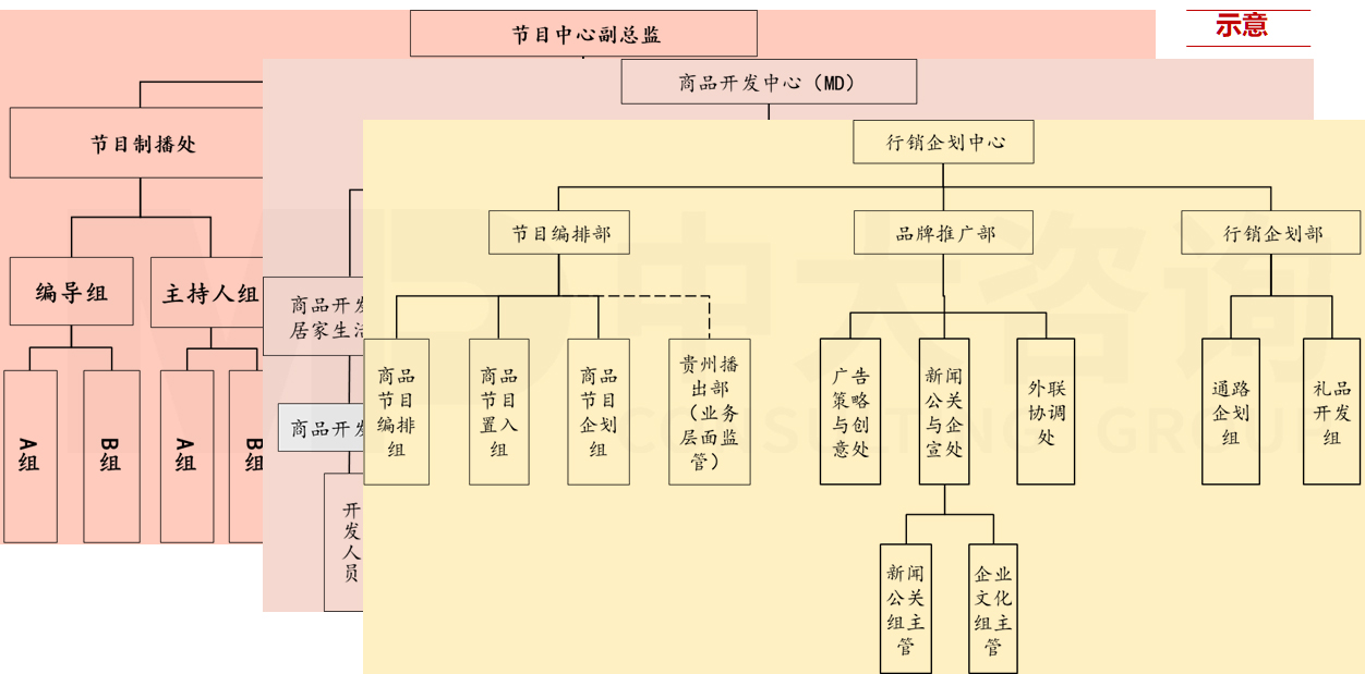 直播电商专项服务 直播电商专项服务
