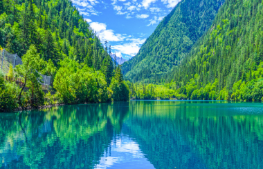 大湾区某现代能源价值创新产业园区建设项目