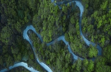 某省级能源集团低碳转型发展路径研究项目