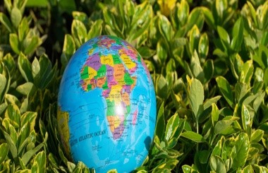 深圳市某区双碳目标下能源高质量发展战略规划项目