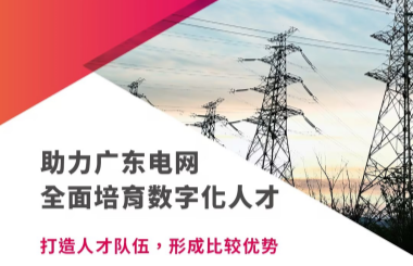 助力广东电网全面培育数字化人才
