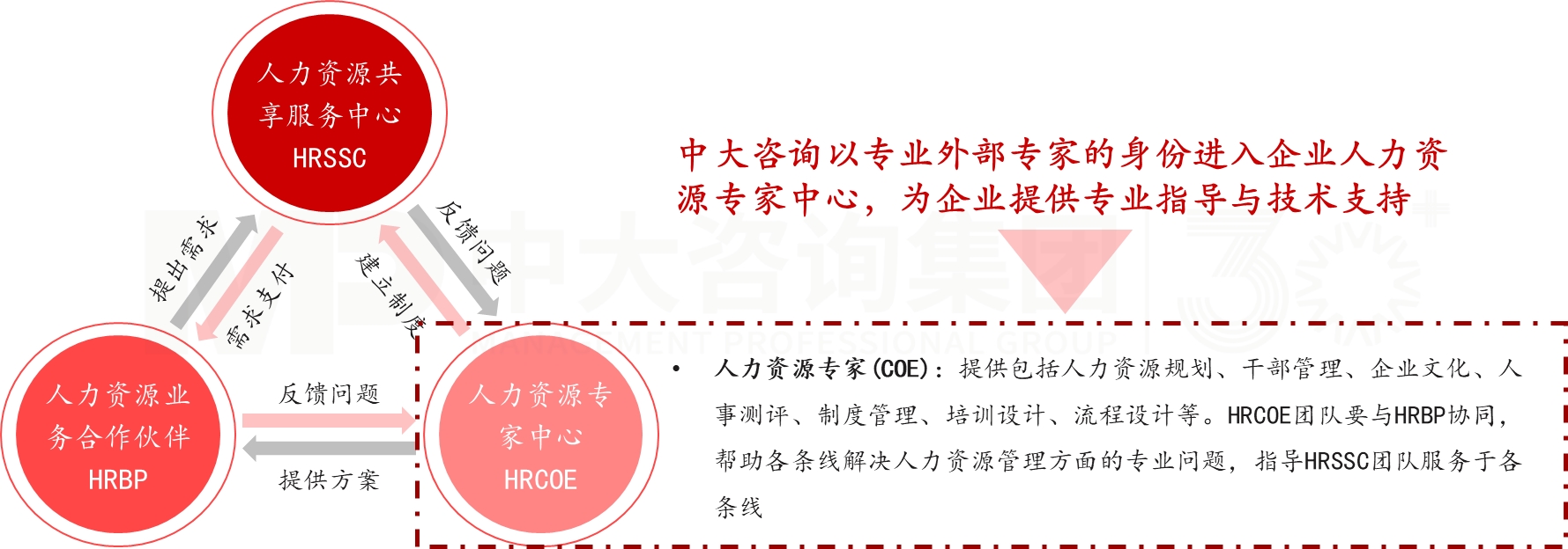 人力资源专家支持