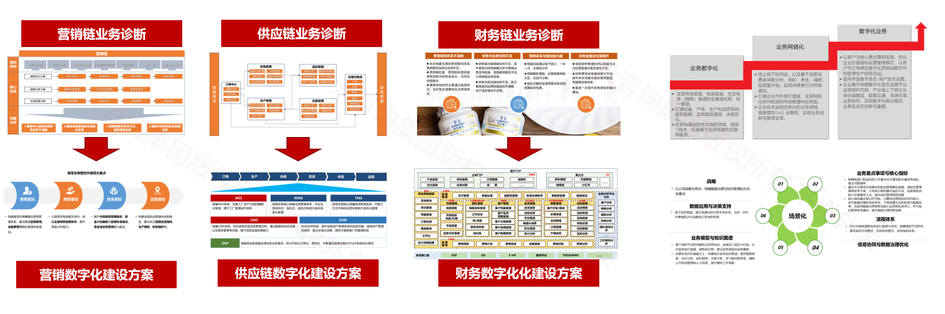 绿雪生物工程/卡士乳业数字化规划 绿雪生物工程/卡士乳业数字化规划